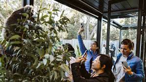 NSW receives ‘super-luxe’ international tourists for first time post COVID