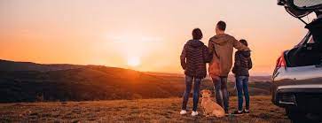 Human contact ‘still vital’ as holidaymakers seek adviceTravel And Tour World