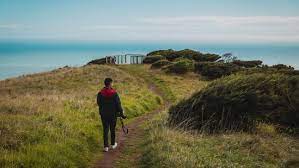 As pandemic rules eased in NZ, tourists are welcomed once again to the country