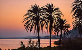 In Q3 2022, Tunisia hopes to raise $97 m in tourism investment